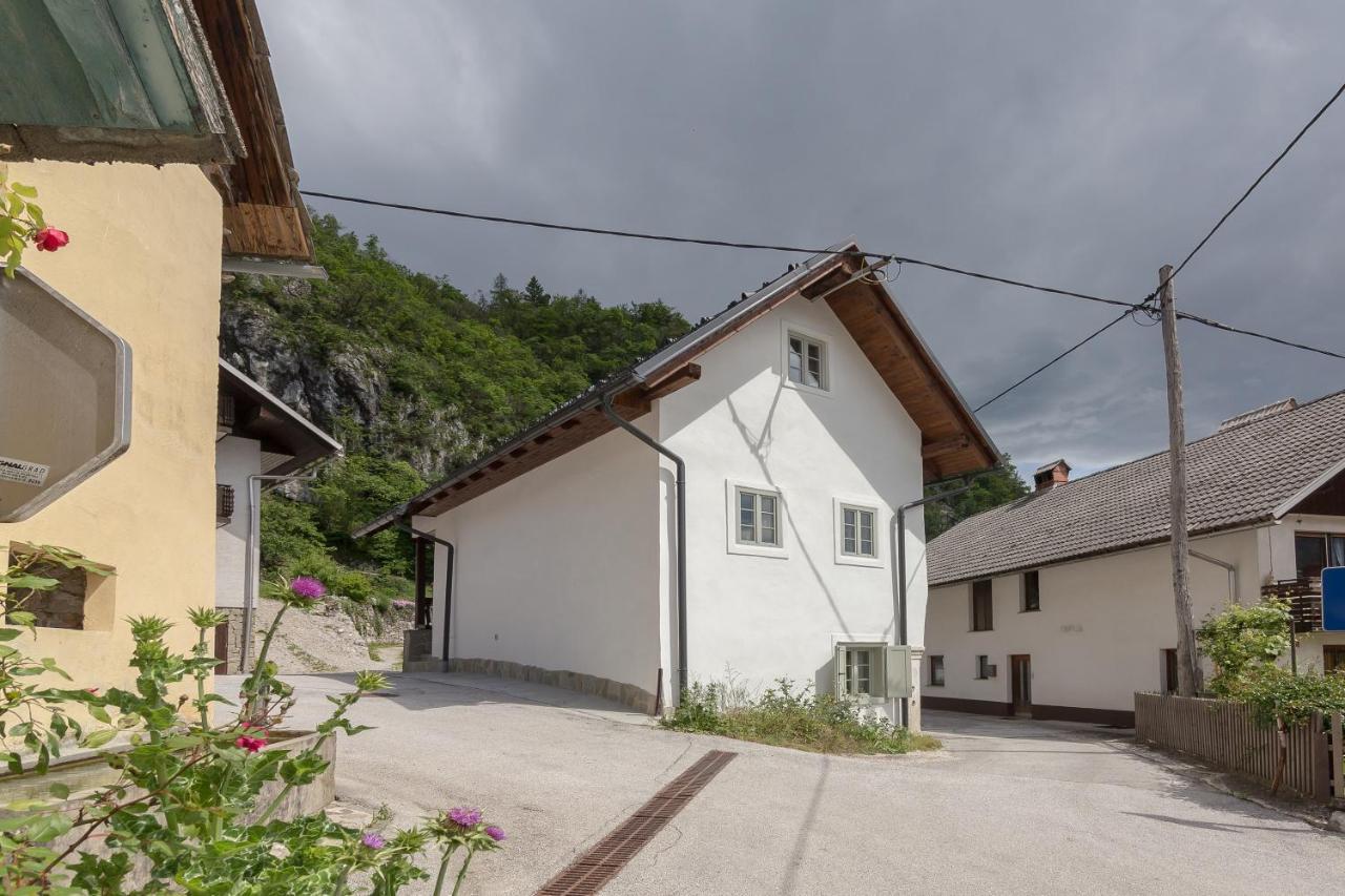 Appartement House Bella à Bohinjska Bela Extérieur photo